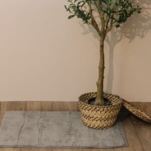 Alfombra Tola Gris 90*60